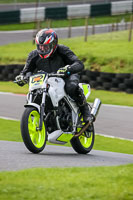 cadwell-no-limits-trackday;cadwell-park;cadwell-park-photographs;cadwell-trackday-photographs;enduro-digital-images;event-digital-images;eventdigitalimages;no-limits-trackdays;peter-wileman-photography;racing-digital-images;trackday-digital-images;trackday-photos